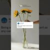 [ID: FDDFqhrF7M4] Youtube Automatic